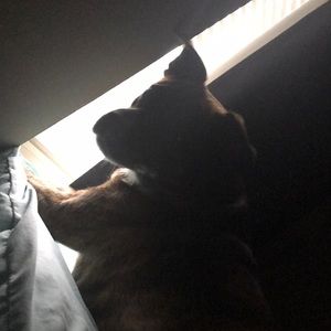 Meet your Posher, Amber